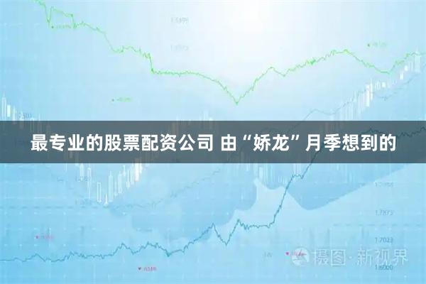 最专业的股票配资公司 由“娇龙”月季想到的