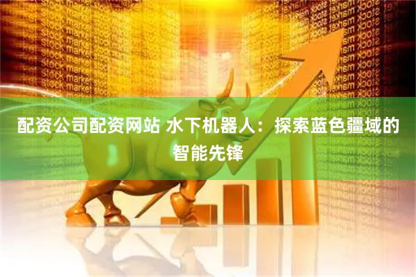 配资公司配资网站 水下机器人：探索蓝色疆域的智能先锋